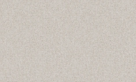 Обои виниловые Erismann Bolero 60192-04 10,05 x 1,06 м