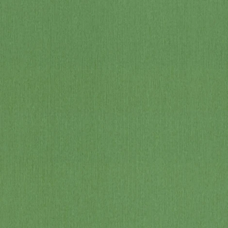 Обои виниловые Rasch Barbara Home Collection XL 800562 10,05 x 1,06 м