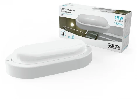 Настенно-потолочный светильник Gauss Elementary 161411215