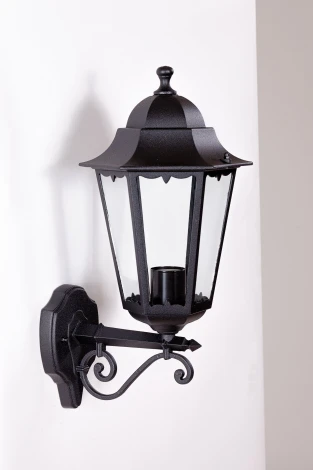 Уличный настенный фонарь Oasis Light PETERSBURG M 79801M/02 Bl (220V, фонарь, IP44)