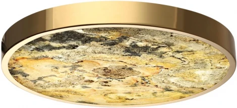 Настенно-потолочный светильник Odeon Light Bergi 5079/40L зол/серо-бежевый/металл/натур.камень/акрил с переключ.цветов.темпер. LED 40W 3000К/4000K/6000K (220V, круглые)