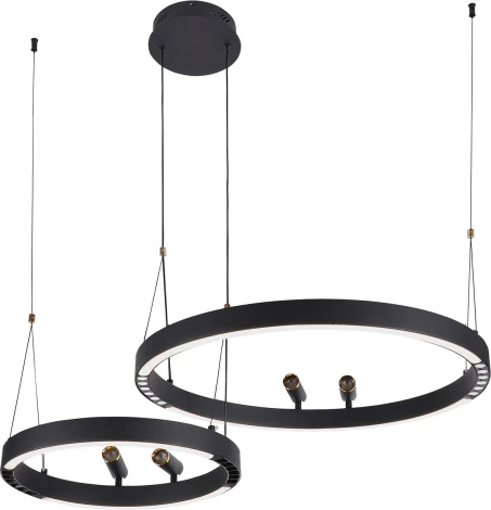 Подвесной светильник со спотами F-Promo Slinga 4474-2P (LED, 220V, на проводе, кольцо)