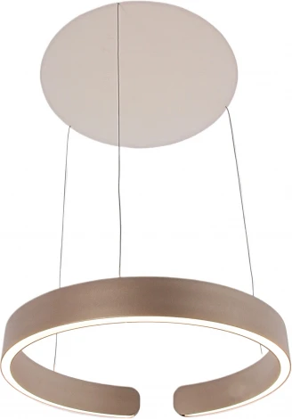 Подвесной светильник светодиодный с регулировкой цветовой температуры и яркости Mizi'en Leo MZ31371-400G (220V, на тросе, кольцо)