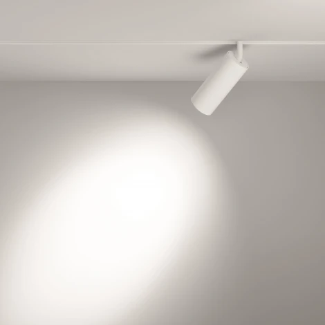 Трековый светильник Focus Led Exility 3000K 20Вт 24° (магнитный) Maytoni Technical TR032-2-20W3K-S-W (48V)
