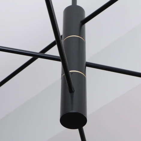 Потолочная люстра на штанге Favourite Imma 4375-6P (LED, 220V)