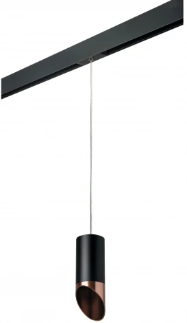 Трековый светильник однофазный 220V Lightstar Rullo PRORP437130 (круглые)