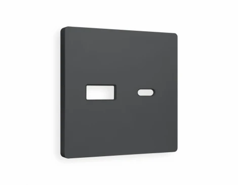 Лицевая панель Ambrella Volt ALFA (Графит Мягкое касание) для розетки 2USB тип A+C QUANT AP9110