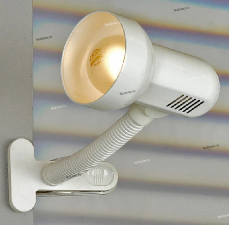 Интерьерная настольная лампа Lussole Sofia LST-4954-01