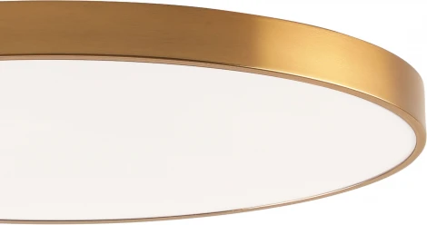 Потолочный светильник круглый светодиодный Zortes Tortty ZRS.02566.120 (220V, круглые, IP21)