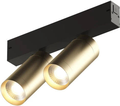 Трековый светильник Denkirs Smart Spot DK8012-BG (LED, 220V, управление смартфоном, голосовое управление, умный дом - Алиса)