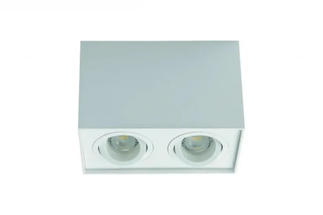 Накладной двойной светильник DLP 250-W 2xGU10 Kanlux Gord 25473