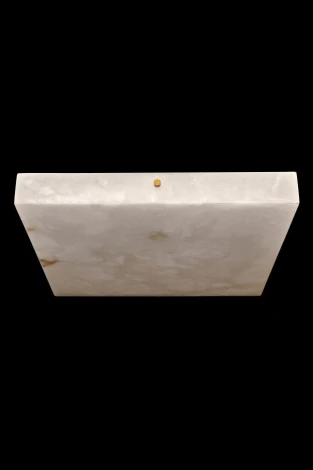 Потолочный светодиодный светильник Fluorite Relaxatio FL1042-4C (220V)