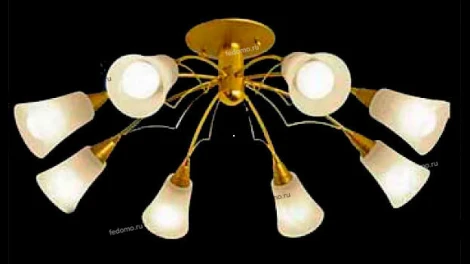 Ozcan Пальма 1555-8