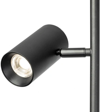 Торшер Citilux Twin CL809011N (LED, 220V, сенсорный выключатель)