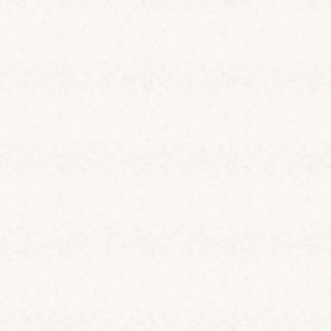 Обои виниловые Marburg Shades/New Spirit 32436 10,05 x 0,53 м