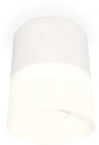 Накладной точечный светильник Ambrella Techno Spot XS8110002 (220V, круглые)