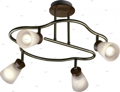 Спот Odeon Light Tara 1971/4