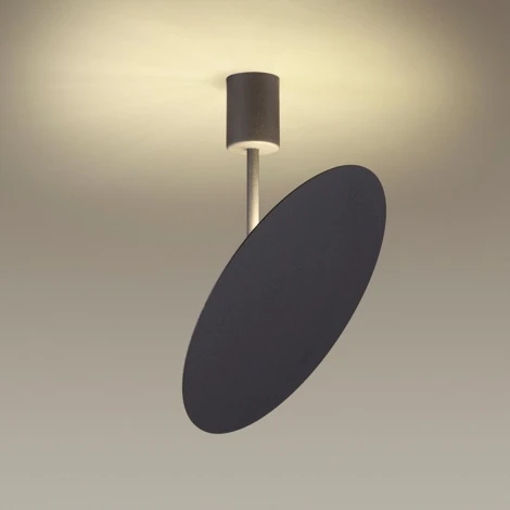 Потолочная люстра Odeon Light Whittaker 3843/12CL