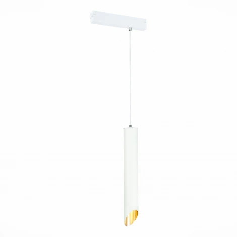 Трековый светильник однофазный 220V Skyline 220 ST508.513.01 ST Luce (круглые)