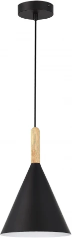 Светильник подвесной Evoluce Arket SLE1255-403-01 Черный/Черный E27 1*40W (220V, на проводе)