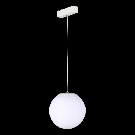 Светильник трековый магнитный 48V Aployt Magnetic track 48 APL.0124.10.06 (LED, шар)