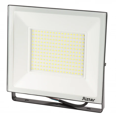 Прожектор уличный светодиодный Ritter PROFI 53411 6