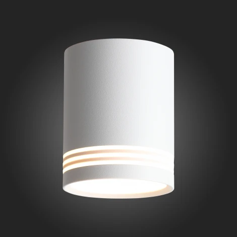 Накладной точечный светильник ST Luce Cerione ST101.502.12