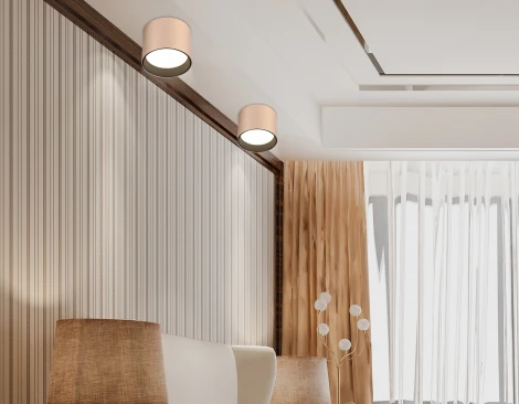 Накладной точечный светильник Ambrella Techno Spot TN5305 (220V, круглые)