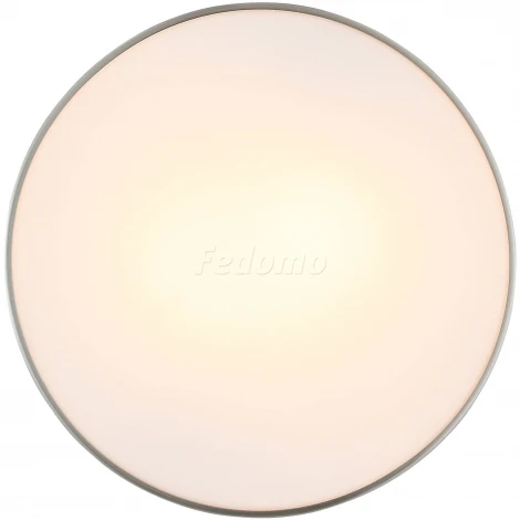 Настенно-потолочный светильник ST Luce Bagno SL468.502.02