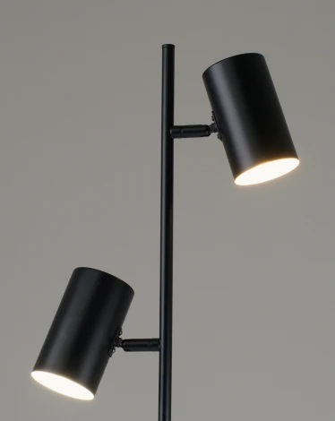 Торшер Moderli Ashes V11329-2F (220V)