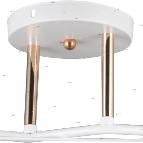 Потолочная люстра J-Light Vera 1074/2C