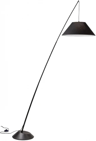 Торшер изогнутый Lussole Wrangell LSP-0683 (220V, выключатель)