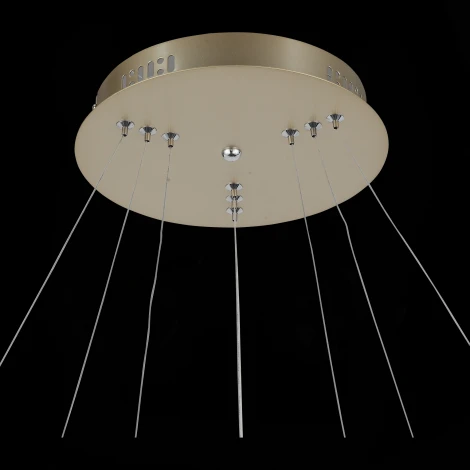 Подвесная люстра ST Luce Erto SL904.203.03