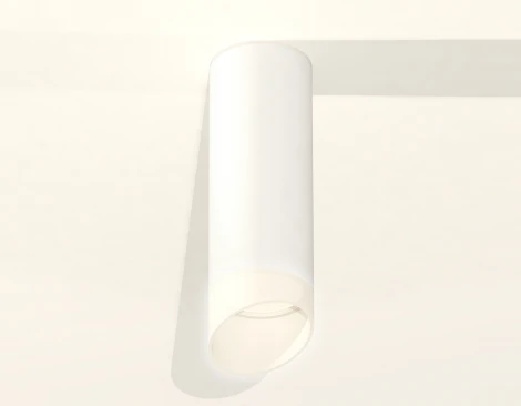 Накладной точечный светильник Ambrella Techno Spot XS6342044 (220V, круглые)