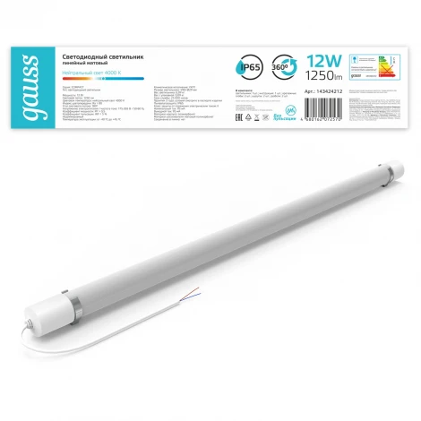 Настенно-потолочный светильник светодиодный Gauss 143424212