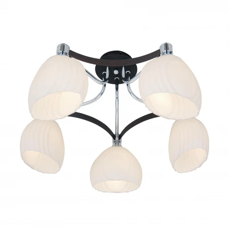 Потолочная люстра Citilux Iris CL143151