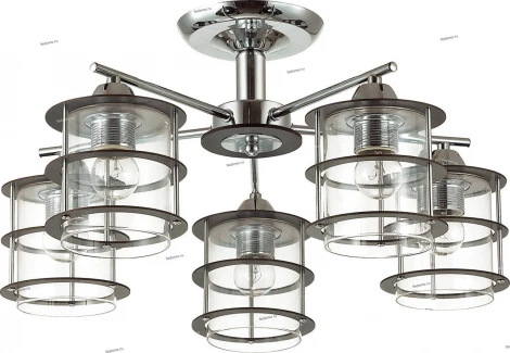 Потолочная люстра Lumion Rotondum 3504/5C