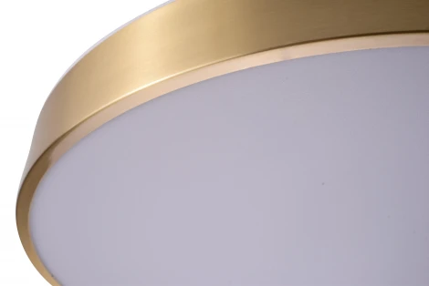 Потолочный светильник круглый Zortes Monna ZRS.1209.12 (LED, 220V, круглые)