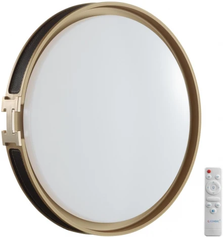 Настенно-потолочный светильник Sonex Favemo Black 7667/EL пластик/черн/золот LED 70Вт 3000-6000К D505 IP43 пульт ДУ (220V, круглые)