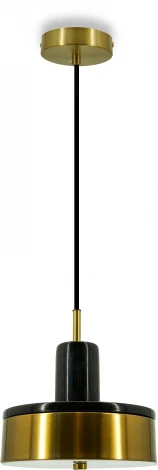 Подвесной светильник Lightera Lucerne LE130L-23BB (LED, 220V, на проводе, круглые)