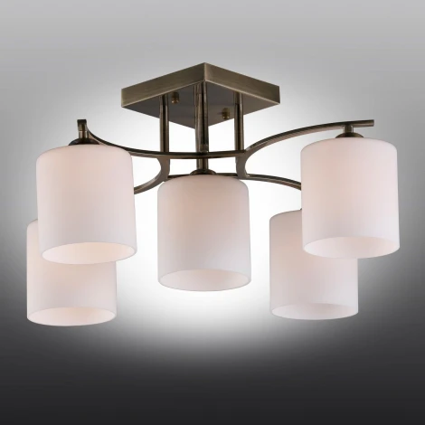 Потолочная люстра Omnilux Pisticci OML-55317-05 (220V)