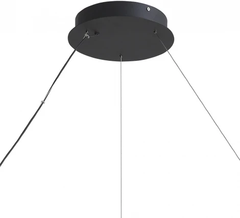 Подвесной светильник Lumien Hall Belgin LH8030/1PM-SBK