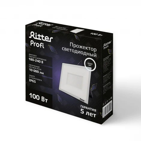 Прожектор уличный светодиодный Ritter PROFI 53419 2