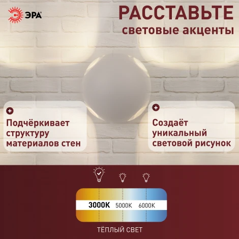 Архитектурная подсветка светодиодная ЭРА WL10 WH WL10 WH