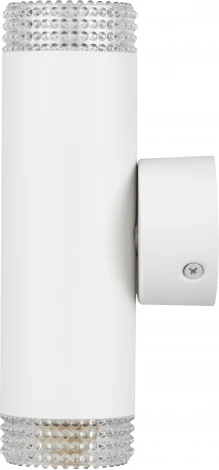 Настенный светильник ЭРА WL50 WH/TR (220V)