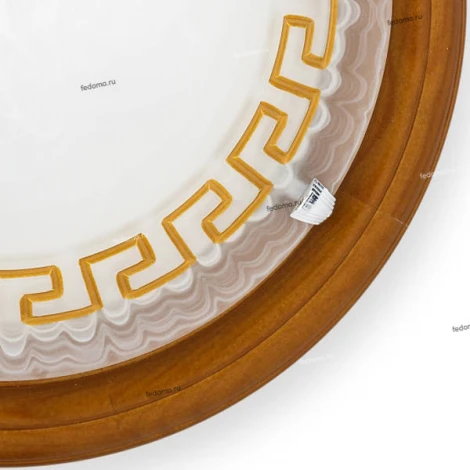 Настенно-потолочный светильник Toplight Gien TL9173Y-02OA