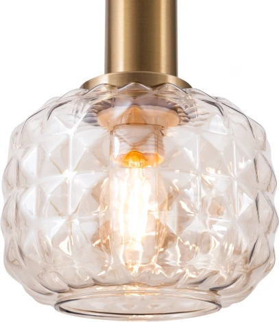 Подвесной светильник Freya Fero FR5366PL-01BS (220V, на проводе)