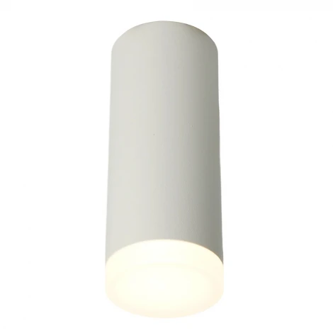 Светильник потолочный накладной Feron ML102 51389