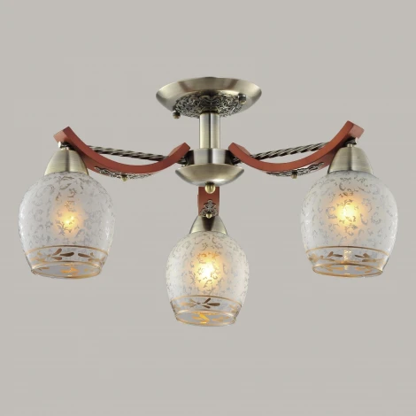 Потолочная люстра Citilux Vudi CL165133
