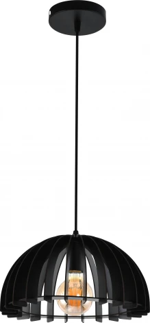 Подвесной светильник Rivoli Ivy 5111-310 1хЕ27 60 Вт